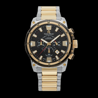 DANILO-Men%27s Giorgio Milano Stainless Steel Watch Two-Tone