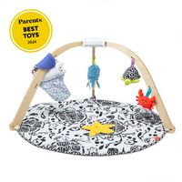 Ocean Easy-Fold Play Gym