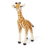 Plush - Standing Baby Giraffe