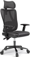 ACGAM - Ergonomic Mesh Office Chair, High Back Gaming Chair w/ Lumbar Support, 1D Adjustable Armr...