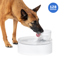 PetSafe - PetSafe&#174; Outlast™ 128 oz Pumpless Pet Fountain - White
