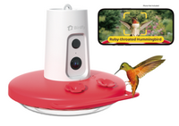 Birdfy Humming Bird Feeder with Camera, 1080P FHD Hummingbird Feeder Camera with Ant Moat - Red&W...