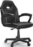 ACGAM - Slim Gaming Chair, Ergonomic Office Chair with Superior PVC Leather, 360° Swivel and Heig...
