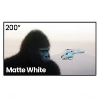 AWOL Vision - MW-200 200-inch Projector Screen Fixed Frame, 1.3 dB Peak Gain,  Short Throw and US...