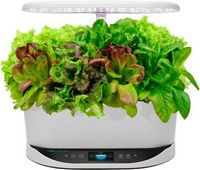 AeroGarden - Bounty with Heirloom Salad Greens Seed Pod Kit - Hydroponic Indoor Garden - White