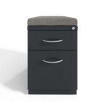 Hirsh - 20-inch Deep Mobile Pedestal File 2-Drawer Box-File with Arch Pull and Seat Cushion, Char...