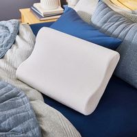 Sleep Innovations - Contour Memory Foam Queen Pillow - White