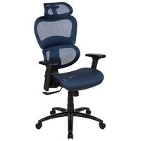 Alamont Home - Lo Contemporary Mesh Executive Swivel Office Chair - Blue