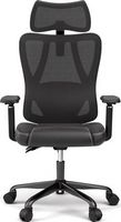 ACGAM - Gaming Office Ergonomic Breathable Mesh Chair, Lumbar Support, Recline, Adjustable Headre...