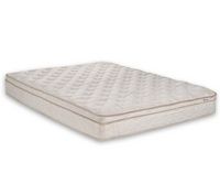 Cicely Sleep - Cicely 10.5-inch Euro Top Foam Hybrid Mattress in a Box-Twin - White
