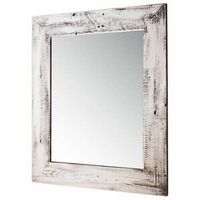 TRINITY - DRAKESTONE | 22x26 Barnwood Mirror | White Wash - White Wash