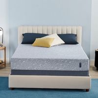 Serta - Sheepless Nights 9&quot; Medium Foam Mattress -Queen - Blue