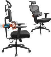 Newtral - Ergonomic High Back Mesh Office Chair with Headrest - Black