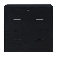 OSP Home Furnishings - Alpine 2-Drawer Lateral File with Lockdowel Fastening System - Black