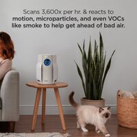 Shark - BreatheClear Compact Pro Air Purifier with NeverChange, 300 sqft - Dove - Alternate Views
