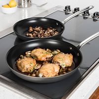Viking - Hard Anodized Non-Stick 2 Piece Fry Pan Set, 10