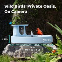 Birdfy Bird Bath Pro AI with Camera, Solar Powered, 1080P HD Bird Camera Auto Capture Bird Bath V... - Alternate Views