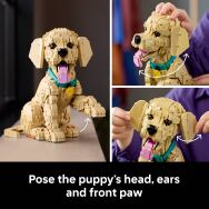 LEGO - Icons Golden Retriever Puppy Building Set for Adults - 11384 - Alternate Views