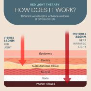 LifePro - Red Light Therapy Panel – Near Infrared for Pain, Inflammation & Skin Health, 60 LEDs t... - Alternate Views