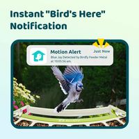 Birdfy Smart Bird Feeder with Camera, Durable Metal Bird Feeders for Outdoors, AI Identify Bird S... - Alternate Views