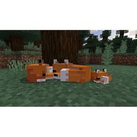 Minecraft Starter Collection - PlayStation 4, PlayStation 5 - Alternate Views