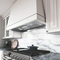 Zephyr - 38 inches - Externally Vented - Shell Range Hood - Stainless Steel - Alternate Views