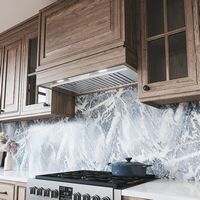 Zephyr - 48 inches - Convertible - Range Hood Insert - Stainless Steel - Alternate Views