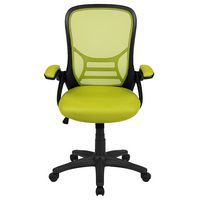 Alamont Home - Porter Contemporary Mesh Executive Swivel Office Chair - Green - Alternate Views