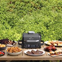 Ninja - Woodfire Outdoor Grill & Smoker, 7-in-1 Master Grill, BBQ Smoker, & Outdoor Air Fryer wit... - Alternate Views