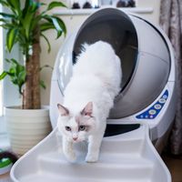 Whisker - Litter-Robot 3 Ramp - Beige - Alternate Views