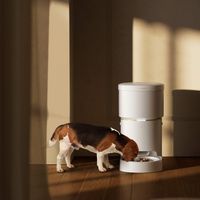 PETLIBRO - Space Automatic Dog Feeder - White - Alternate Views