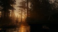 Alan Wake 2 Deluxe Edition - Xbox Series X - Alternate Views