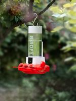 BIRDFY - Smart Hummingbird Feeder, w/Dual HD Cameras, Solar Power, and AI Enabled Bird Recognitio... - Alternate Views