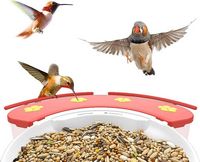 BIRDFY - Hummingbird Feeder Perch Extension, Hummingbird Feeder Accessories, Ideal Gift for Hummi... - Alternate Views