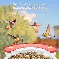 BIRDFY - Hummingbird Feeder Perch Extension, Hummingbird Feeder Accessories, Ideal Gift for Hummi... - Alternate Views