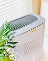 CRANE - 4 Pint Dehumidifier - White - Alternate Views