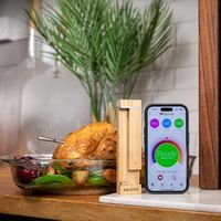 Traeger Grills - MEATER® Pro Wireless Meat Thermometer - Bamboo - Alternate Views