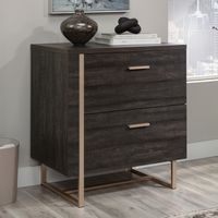 Sauder - Walter Heights 2-Drawer Lateral File Cabinet - Blade Walnut - Alternate Views