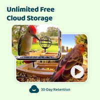 BIRDFY - Smart Wild Bird Feeder with Camera for Outdoor , AI Enabled Bird Recognition & Solar Pow... - Alternate Views