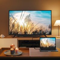 Insignia™ - 6 ft. USB-C to DisplayPort Cable - Black - Alternate Views