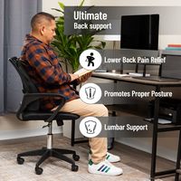 Mind Reader - Lumbar Support Cushion for Office Chair and Car Seat, Memory Foam, Back Pain Relief... - Alternate Views