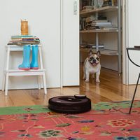 bObsweep - PetHair Appetite Wi-Fi Connected Robot Vacuum and Mop - Coffee - Alternate Views