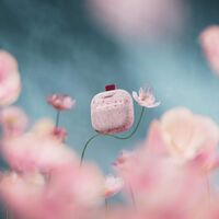 Bose - SoundLink Micro Portable Bluetooth Speaker (2nd Gen) - Petal Pink - Alternate Views