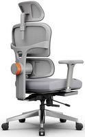 Newtral - Ergonomic High Back Office Mesh Chair with Footrest, Adaptive Lumbar Support, Adjustabl... - Alternate Views