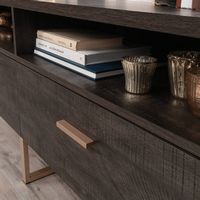 Walter Heights TV Credenza for TV's up to 60