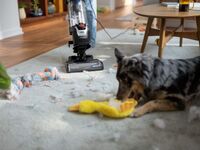 BISSELL - CleanView Max Lift-Off - Cobalt Blue / Black - Alternate Views