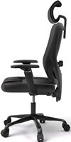 ACGAM - Gaming Office Ergonomic Breathable Mesh Chair, Lumbar Support, Recline, Adjustable Headre... - Alternate Views
