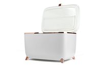 Cooluli Glam 9L Mini Skincare Fridge - White - Angle