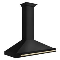 ZLINE - 48 inches - Convertible & Externally Vented - Wall Range Hood - Black stainless steel - Angle