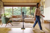 BISSELL - PowerClean FurGuard Cordless Stick Vacuum - Black / Titanium - Angle